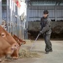 비옥한 여물농장 이미지