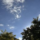 술샘짬뽕타운 이미지