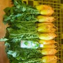 뽑고 또 뽑고 이미지