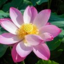 마하재활병원 이미지