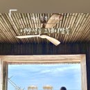 어반정글그레이밤부