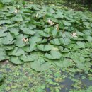 큰골농장 이미지