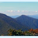 무릉도원 이미지