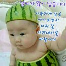 수세차