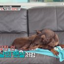보금자리주유소 이미지
