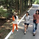 가고픈민박 이미지