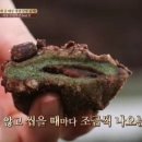진아식품 - 중구 마른내로4가길 11 | 진아식품