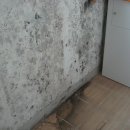 에스퍼스널트레이닝 이미지