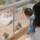 금천 | 쥬라리움 금천점 후기 금천구 실내동물원, 아기랑 가기 좋은 곳