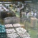 형제농축산 이미지