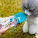 산책 이미지
