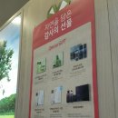 독스앤휴먼 이미지