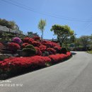말산경로당 Daum카페