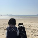 변산농장 네이버블로그