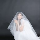 블루버드스튜디오 이미지