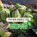 달달언니네