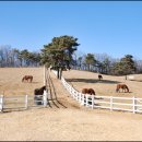 서삼릉길 이미지