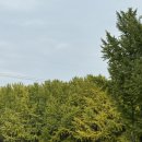 시골한우촌 이미지