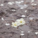 2024 신춘음악회 이미지