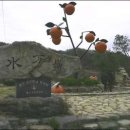 금강주유소 이미지