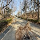 서곶공원배드민턴장 네이버블로그