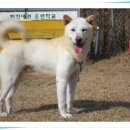 백*수