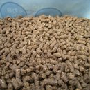 손해평가사 1차 - 재배학 및 원예작물학 이미지