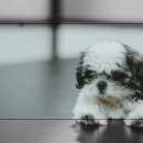 몽글몽글 이미지