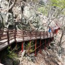 야호캠프 이미지