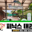 함평태권도장 이미지