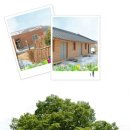 녹색농심인삼마을 이미지