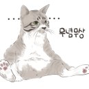 썸씽-뉴