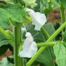 이성찬농장 이미지