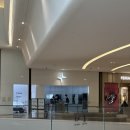 오로스크린골프(526) | 폴스타 4 플러스팩 시승 후기 2열공간·인테리어 솔직평