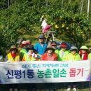 신평1동-5 이미지