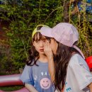 동탄나무로 이미지