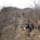 전봉준로 이미지