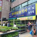 권선농약사 | 권선종묘농약사 모종구입 후기