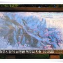우암산등산로2 이미지