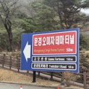 문경 오미자테마터널 | [문경 가볼만한곳] 문경 여행 중 들린 문경오미자테마터널 내돈내산 방문 솔직 후기! (feat. 밤티)