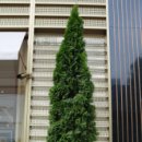 알베코이앤씨(주) 이미지