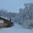 백월유전자 이미지