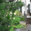 칠월펜션 이미지