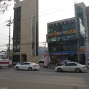 당구치자 이미지