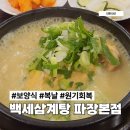 백세동안 | 수원 보양식 맛집 복날에 생각나는 백세삼계탕 파장본점 후기