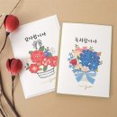 투영 쇼핑하우