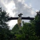 Holy Place 이미지