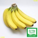 (주)이코스트 이미지