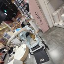 몰리스펫샵 센텀 이미지