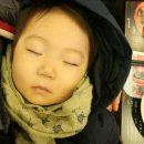 도그레잇 이미지